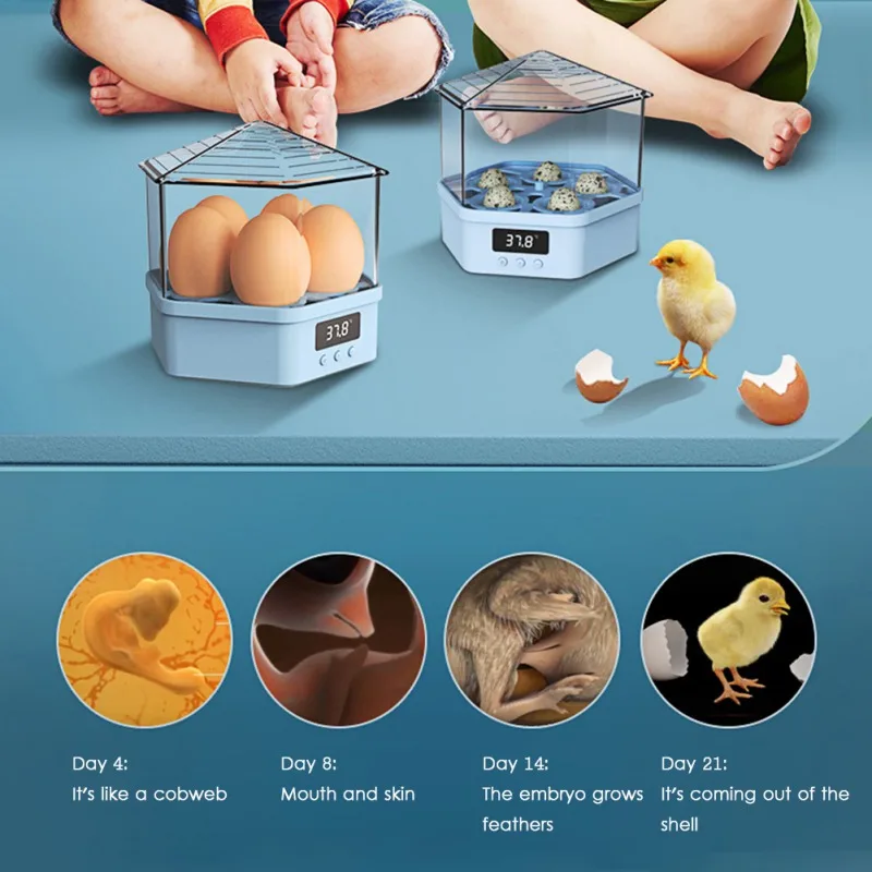 

Little Bird Home Intelligent Incubator 5 Eggs Intelligent Temperature Control Farm Duck Chicken Poultry Egg Incubator