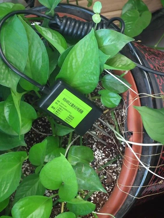 

4~20mA/0~5V/0~10V/RS485 Optional capacitive soil moisture sensor