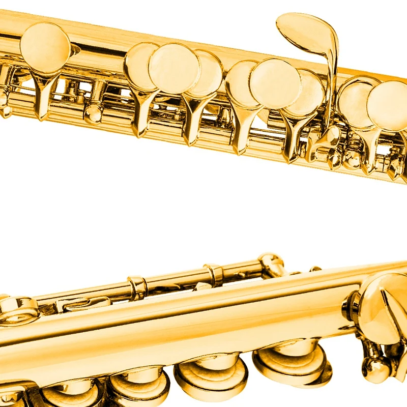 

NAOMI Piccolo Key of -Piece with Case, Cleaning Rod, Cloth, and Gloves