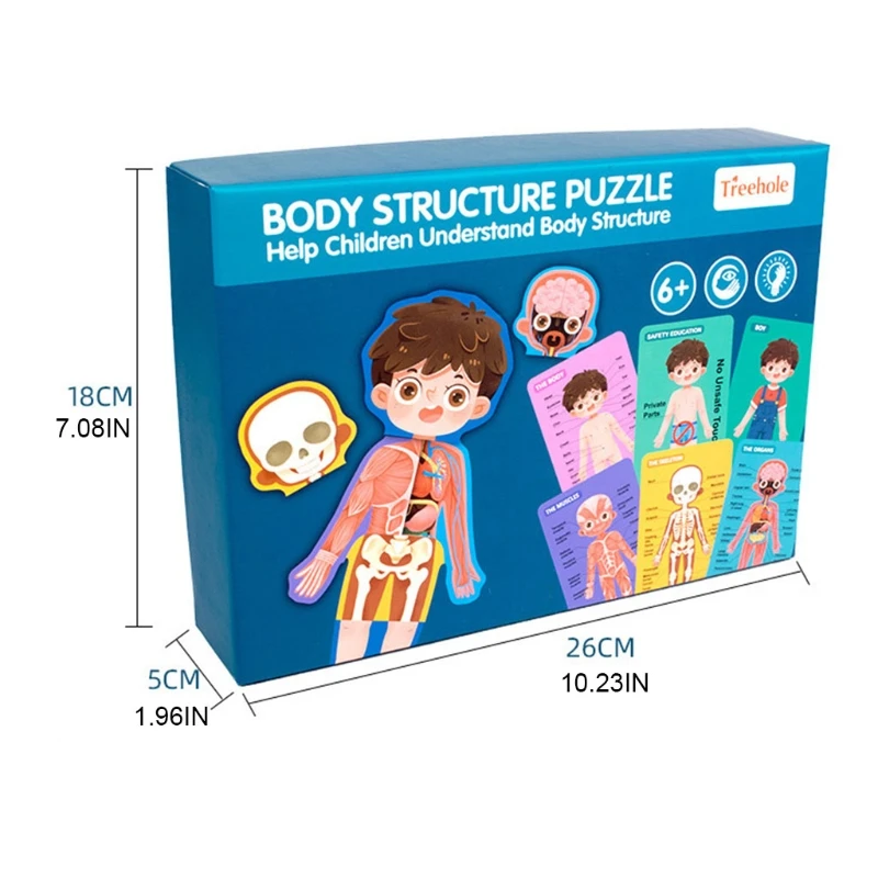 

1Set Montessori Learning Toy Body Puzzle Jigsaw Sensory Human Anatomy Human Body Structure Puzzle Assembly Puzzle
