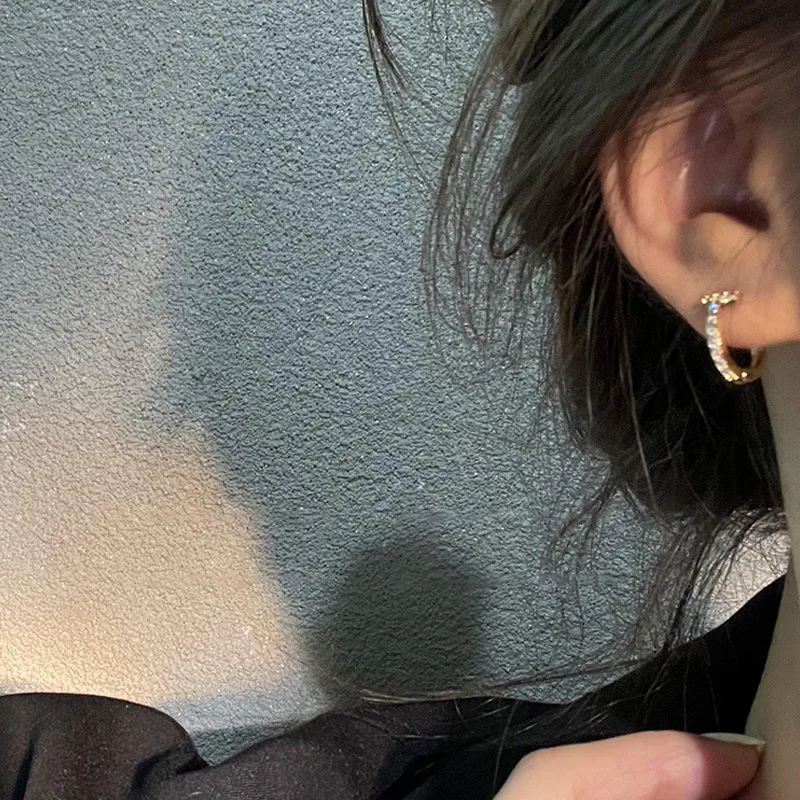 

Fashion Punk Geometric Circle Hoops Earrings Simple Style Minimalist Zircon Small Hoop Earrings For Women Party Jewelry Gift