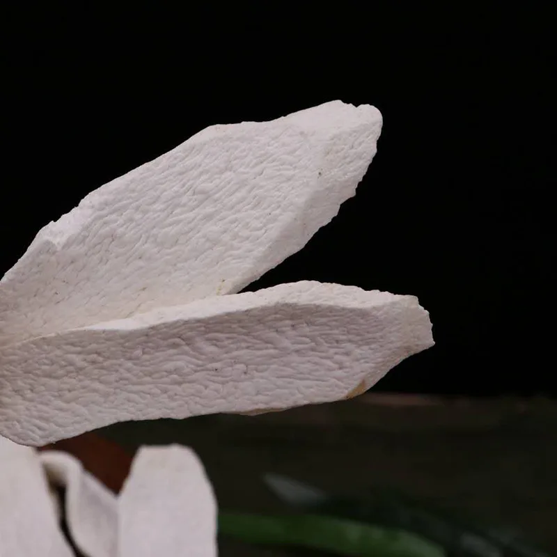 

Common Yam Rhizome,Rhizoma Dioscoreae,Shanyao