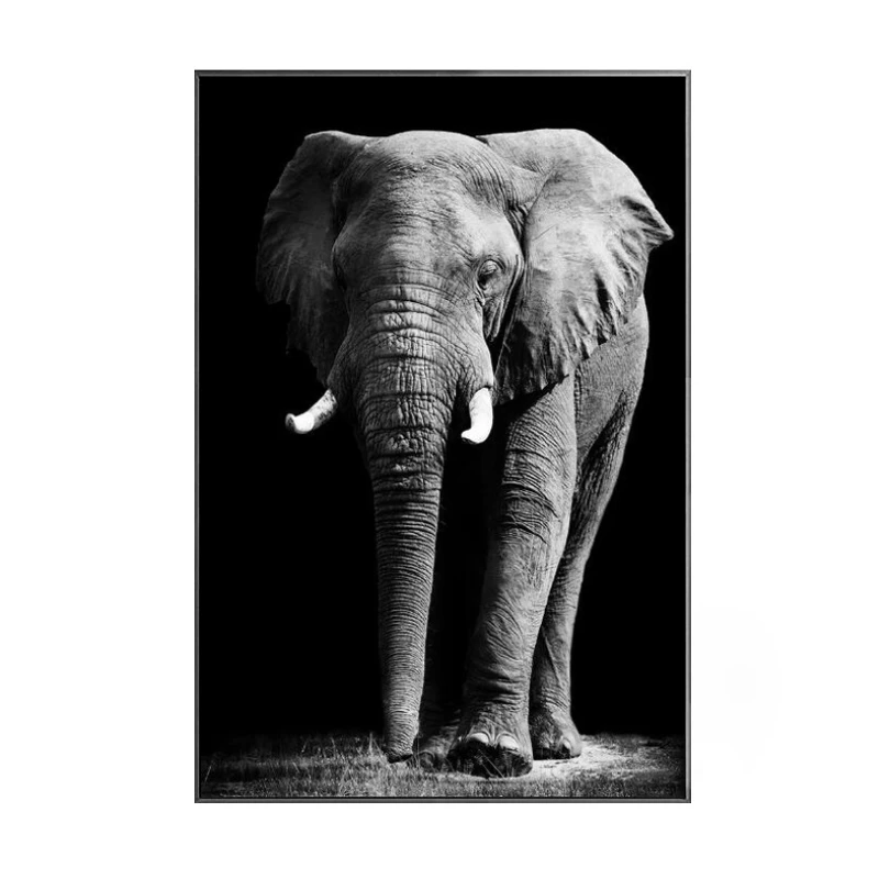 

African Wild Elephant Animals Canvas Paintings On The Wall Art Posters And Prints Animals Canvas Art Pictures Wall Decoration