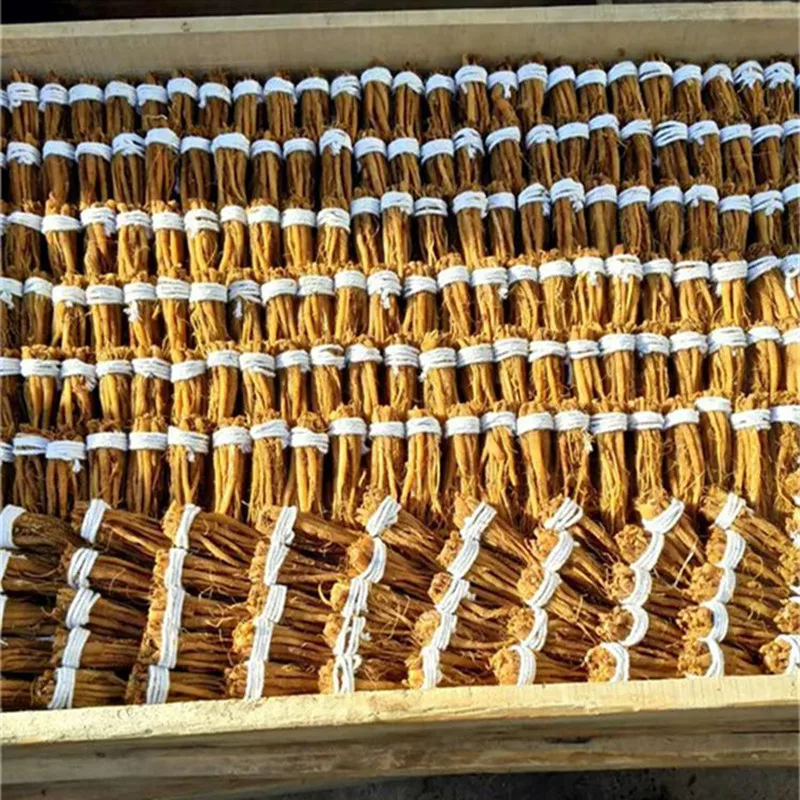 

10 Years High Quality Red Ginseng Root Improve Immunity Relieve Fatigue Anti-Aging Rare Medicinal Herbs from the Tibetan Plateau