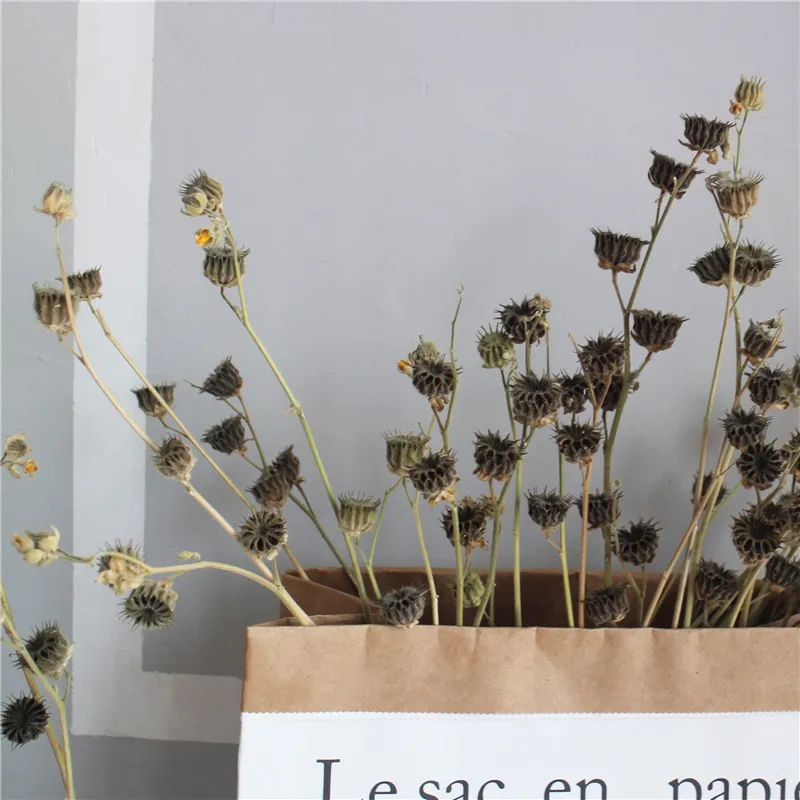 

10pcs Dried flowers Bunch Decor Flower Bouquet Natural Dried Flower Christmas Valentine's Day Gift