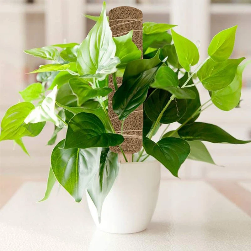 

Totem Pole Plant,Coir Moss Totem Pole,Coir Moss Stick for Plant Support Extension,Climbing Indoor Plants, pers 3Pcs