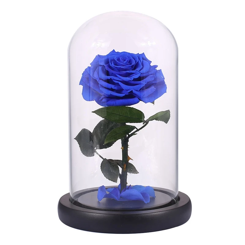 

Glass Cover Fresh Preserved Rose Flower Barbed Rose Flores For Wedding Marriage Home Party Decoration Valentine'S Day Gift Blue