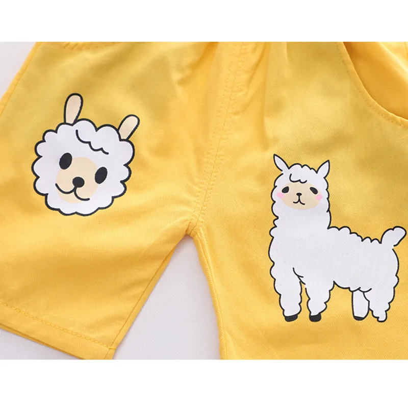 

New Summer Baby Boys Clothes Suit Children Cartoon Cotton Shirt Shorts 2Pcs/Sets Toddler Casual Costume Infant Kids Tracksuits