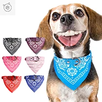 SUPREPET Костюм Кошки Cute Pet Одежда Пикачу Косплей Одежда Осень Зима Одежда для Кошек Главная Пижама Щенок Толстовка С Капюшоном Собака Пальто