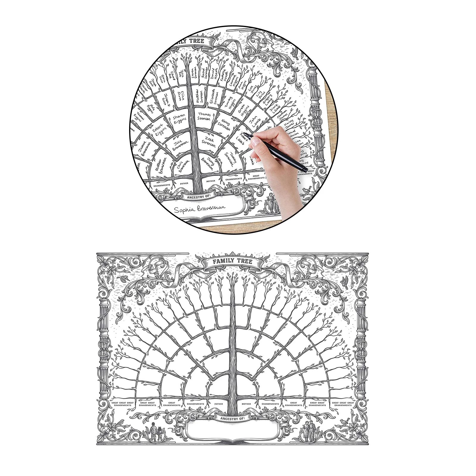 Большая Персонализированная диаграмма семейного дерева Заполняемая форма