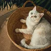 Изображение товара 2