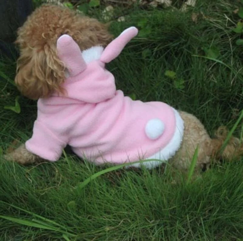 Пальто для домашних животных рождественские маскарадные костюмы домашняя