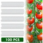 100 шт., зажимы для подвязки томатов, фруктовых веток