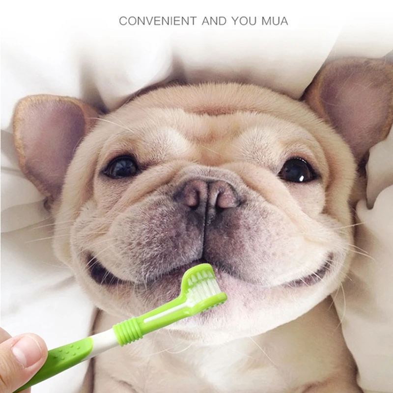 

Dog Cat Cleaning Mouth Dog Toothbrush Pet Toothbrush Toothpaste Kit Three Sided Dog Brush Addition Bad Breath Tartar Teeth Care
