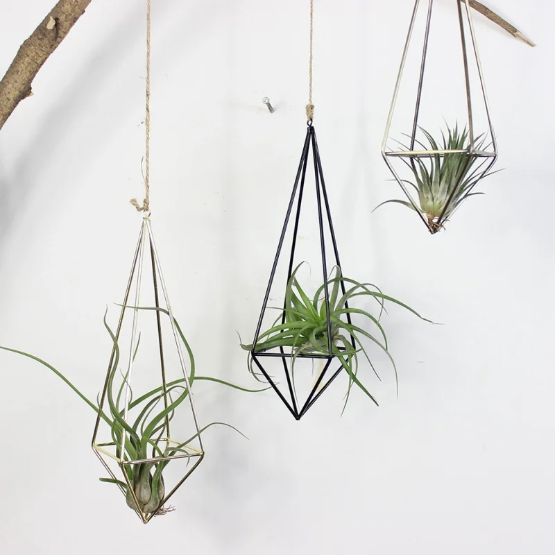 Hanging Tillandsia Air Plants Rack Metal Geometric Iron Art Rustic Flower Planter Pot Wall Decor Container Succulent Vase | Дом и сад