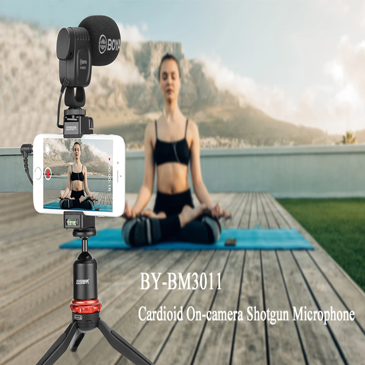 

Boya BY-BM3011 On Camera Cardioid Condenser Microphone Audio Video Mic for Canon Nikon DSLR PC Smartphone Live Streaming Vlog