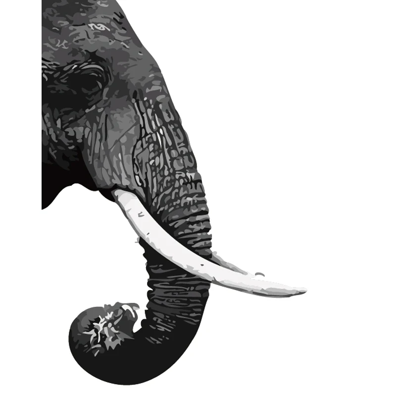 

Elephant Animal Digital Painting By Number Modern Wall Art CanvasBlack And White Tones Painting Unique Gift Room Decor 40x50cm