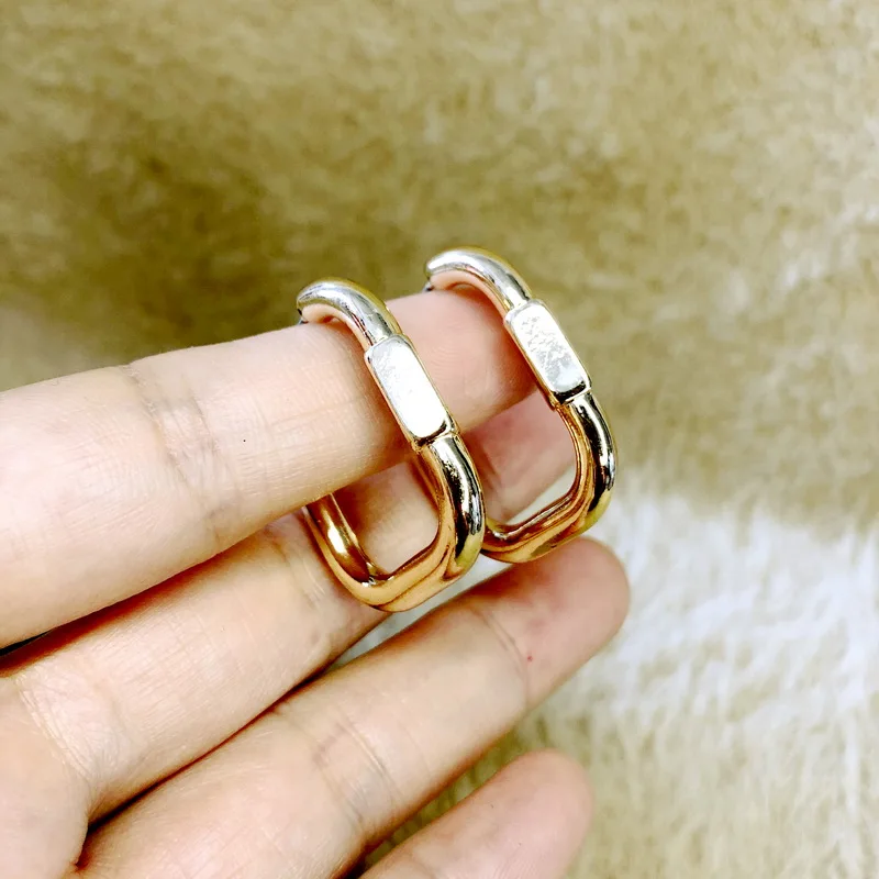 

F.J4Z 2021 Trend Hoop Earrings for Women Gold Alloy Geometric Party Show Earring Lady Metal Jewelry Gifts Dropship