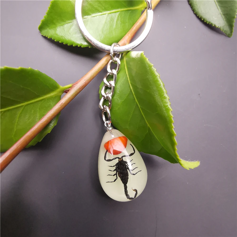 10pcs Scorpion Crab Keychain Glow in the Dark Real Insect Keychain Beetle Keychains for MenKey Ring Specimens Collecting Trinket - Цвет: 10-1YK
