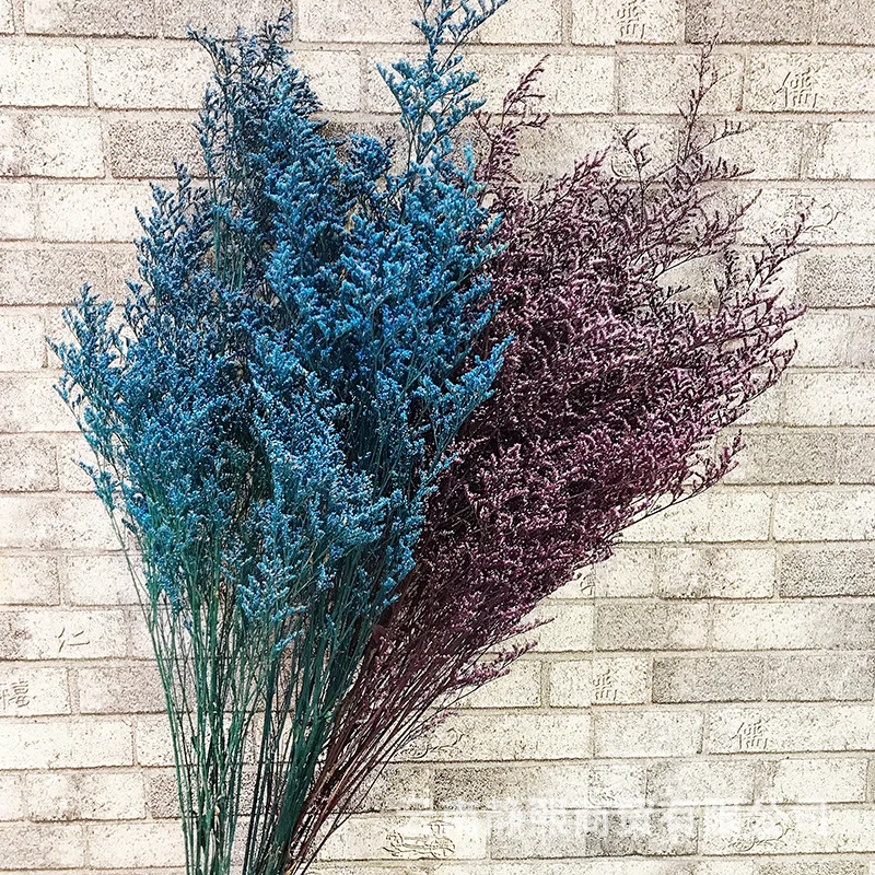 

40-45cm Natural Dried Lover Grass&Valentine Grass Plant,Real Preserved Fresh Flower Bouquets, Dancing Flower for Home Decoration