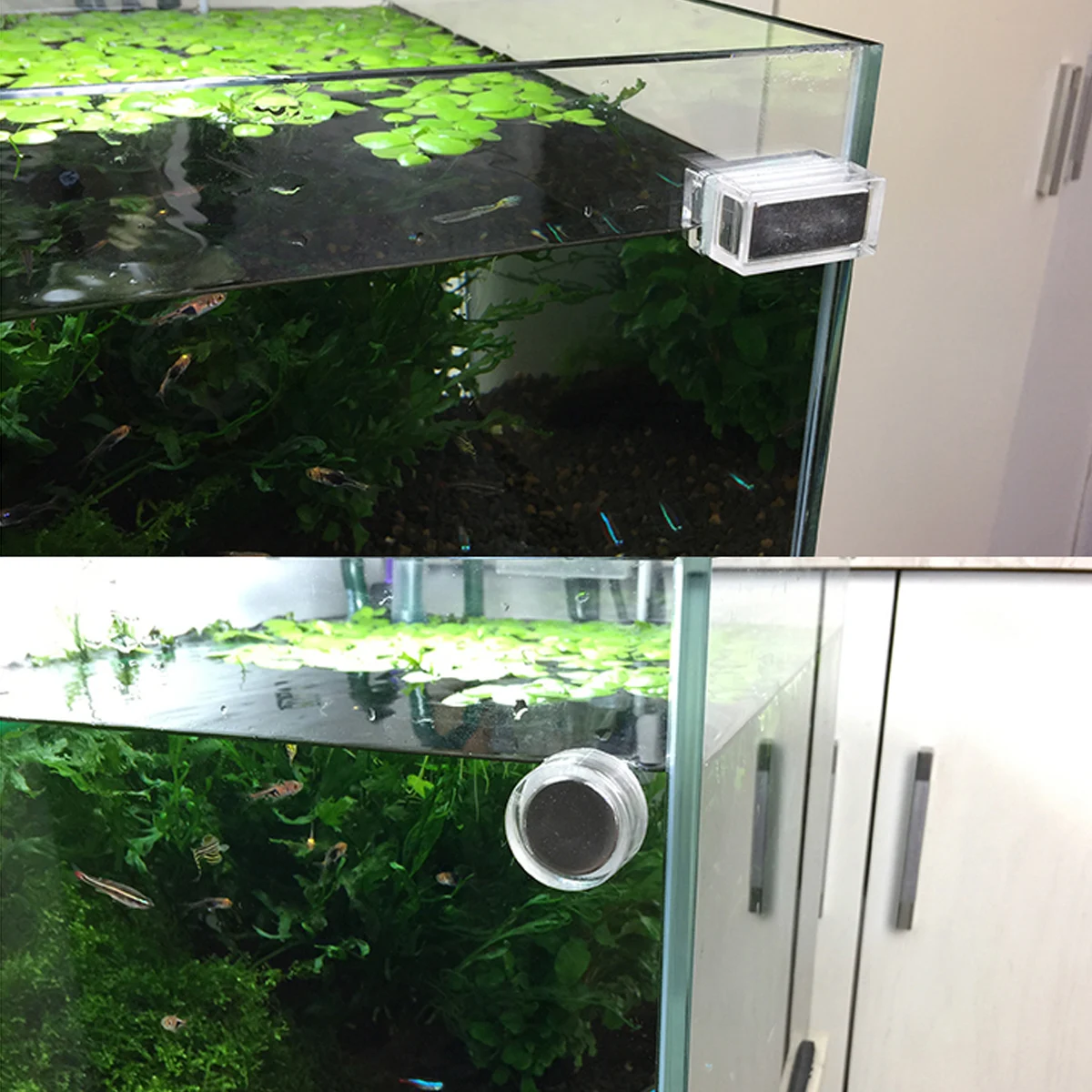 Chihiros Mini Nano магнитный очиститель стекло свежий аквариум морские рыбные