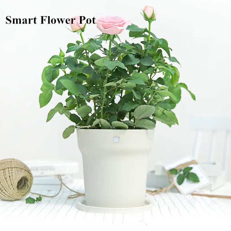 Международная версия) xiao mi Flora цветочный горшок растения умная трава Bluetooth Монитор Пульт дистанционного управления на солнечной батарее почвы датчик воды