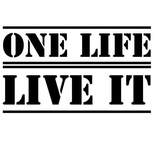 

Глянцевый виниловый автомобильный стикер для One Life Live It, внедорожник, Стайлинг серфера