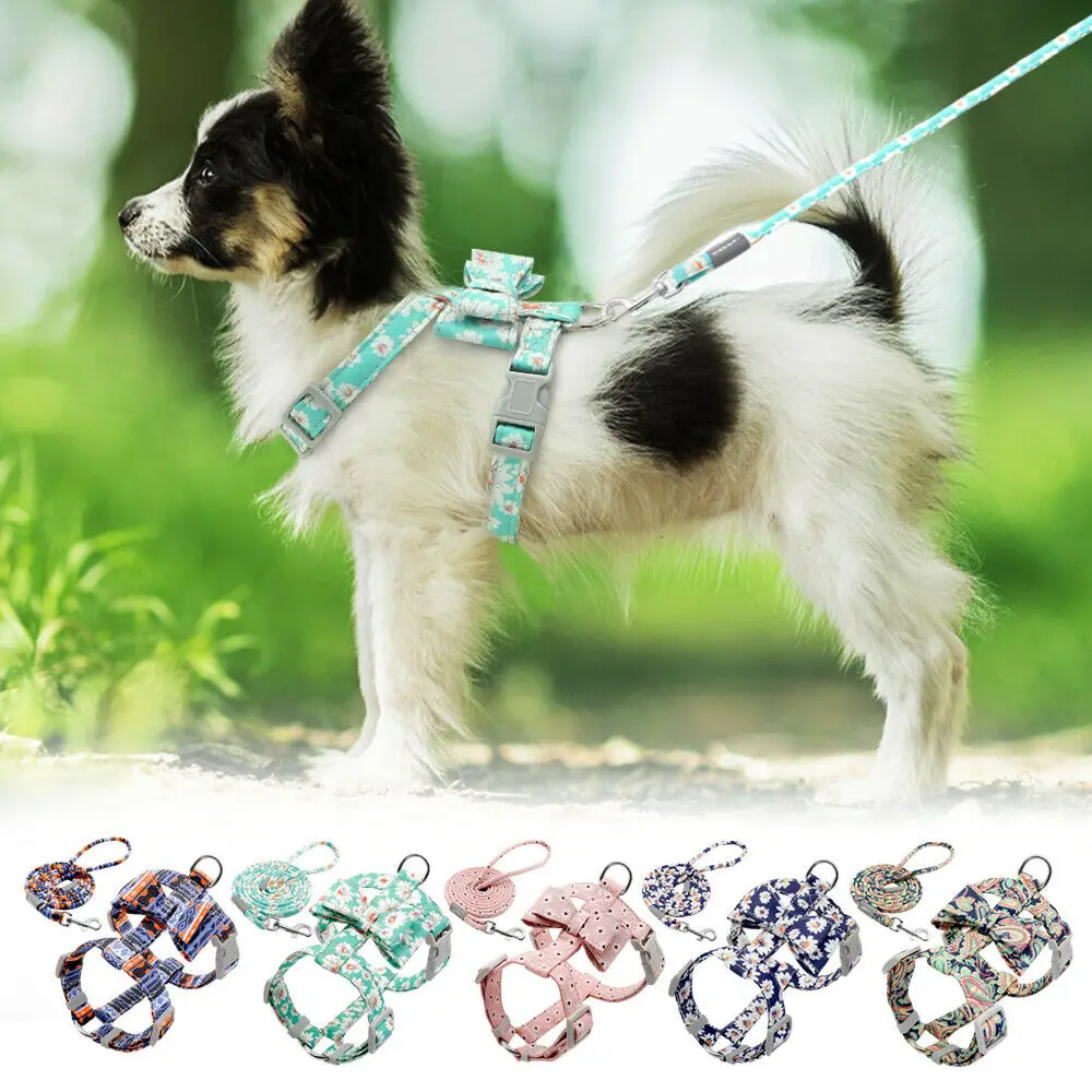 Поводки и жгуты для собак ошейник домашних животных Набор ошейников маленьких