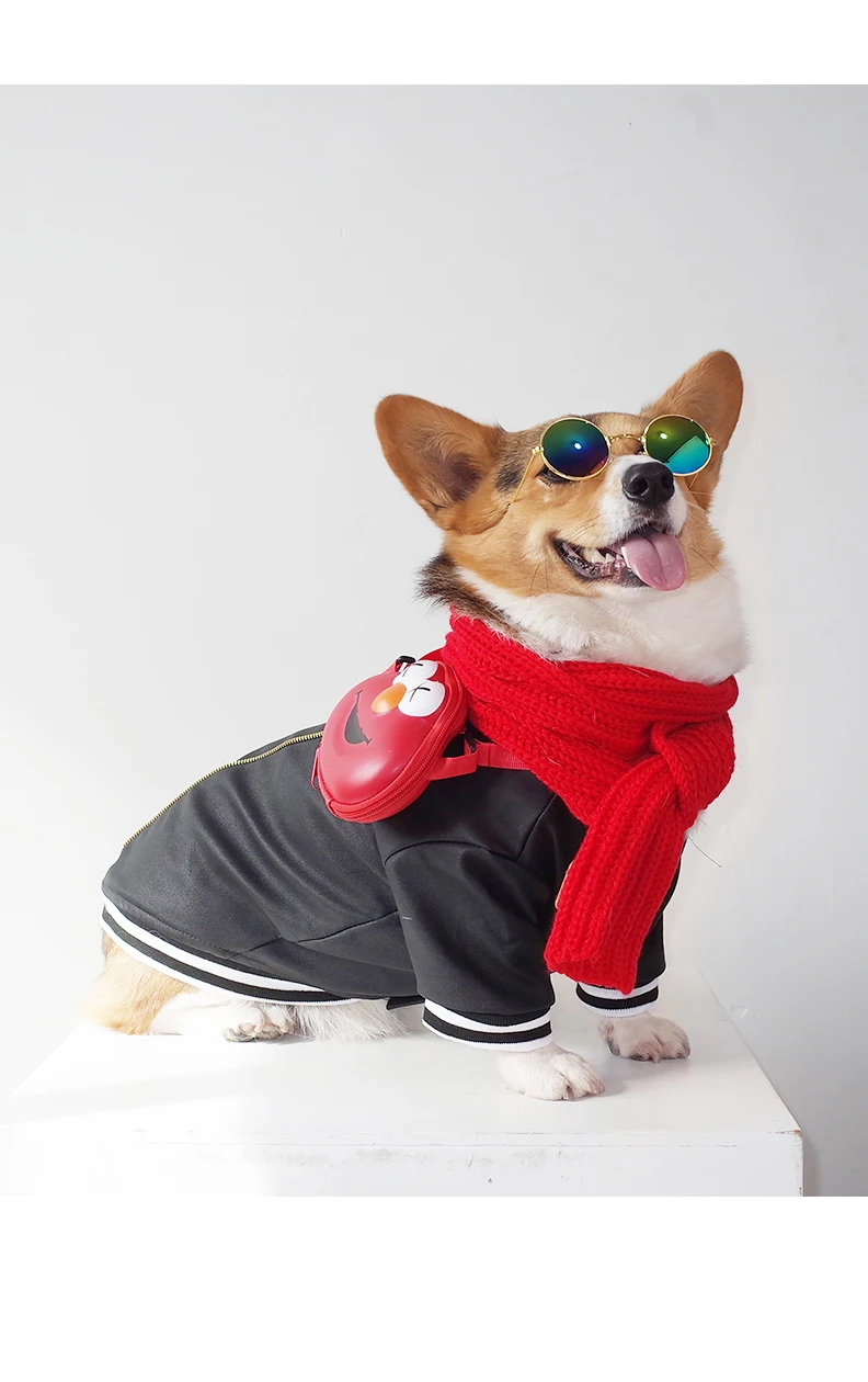 Большая одежда для собак Хаски Зимняя чихуахуа водонепроницаемая Одежда