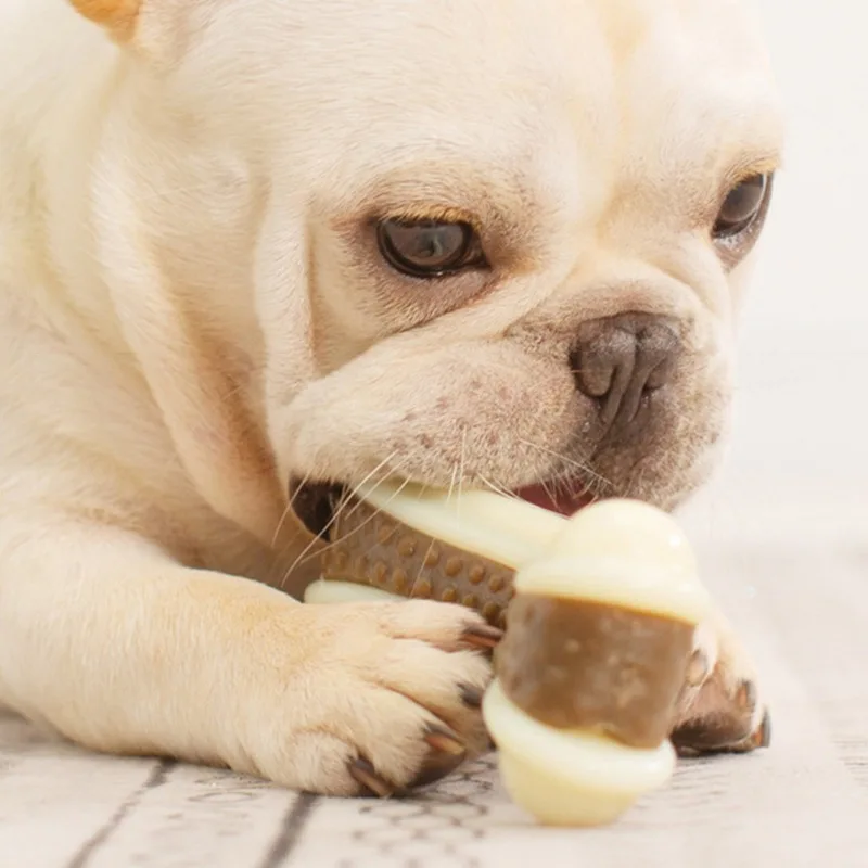 

Dog Chew Toys Are Suitable For Offensive Chewable Tablets Durable Non-Toxic Food-Grade Nylon Dog Bones Summer new