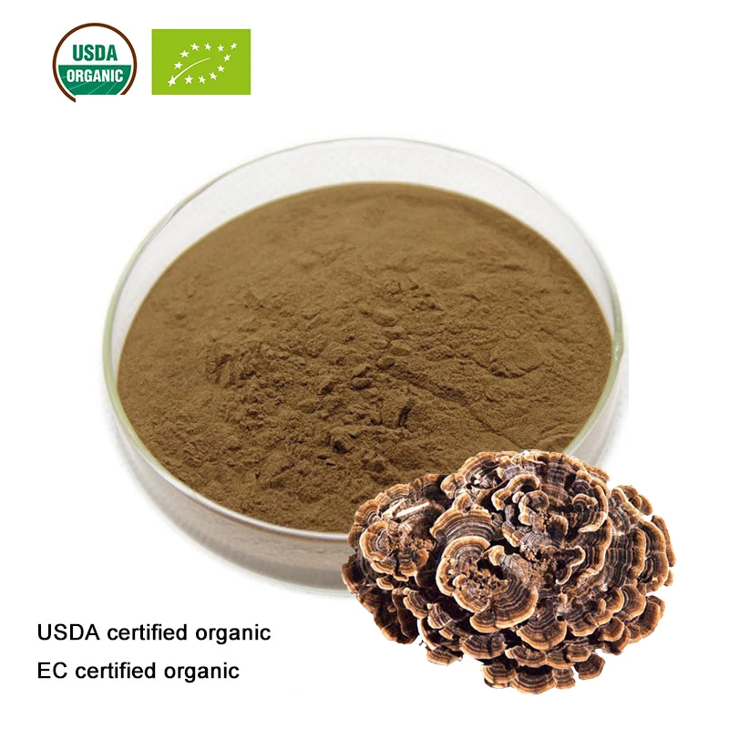 Hot Sell Pure Natural Cloud Mushroom Extract Powder 10:1,Cloud Mushroom,Yun Zhi,Free Shipping