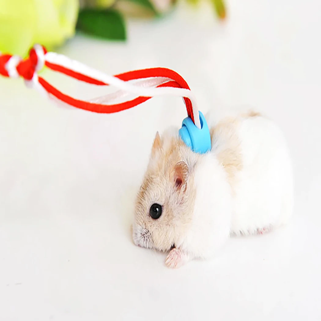 

Small Animal Pet Squirrel Rabbit Hamster Hand-Woven Rope Leash Flexible Adjustable Non-Slip Hamster Leash Pet Supplies