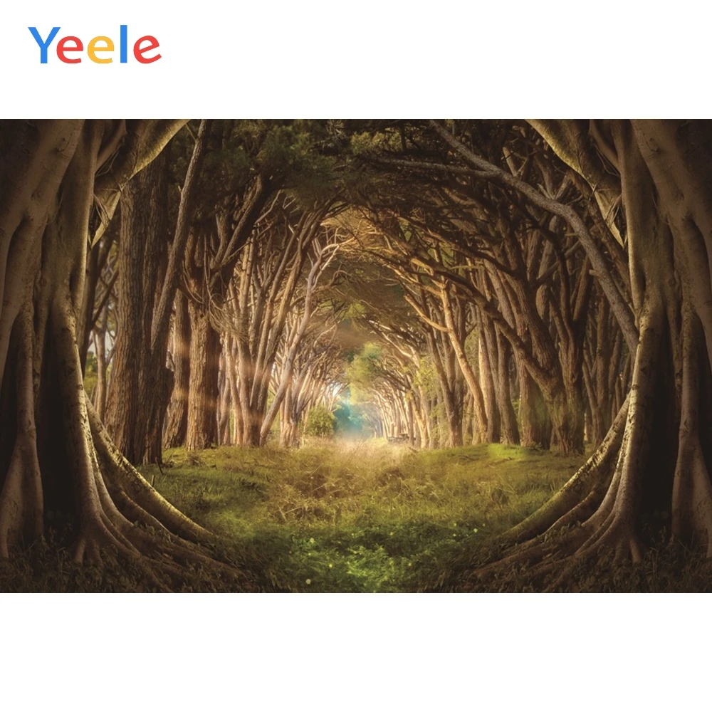 Виниловый Сказочный задний фон с изображением страны чудесес Таинственный лес