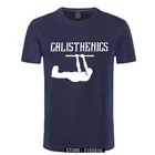 Футболка Calisthenics, лучшая спортивная мужская футболка Calisthenics, большая футболка с принтом и коротким рукавом, 100 хлопок, модная забавная футболка