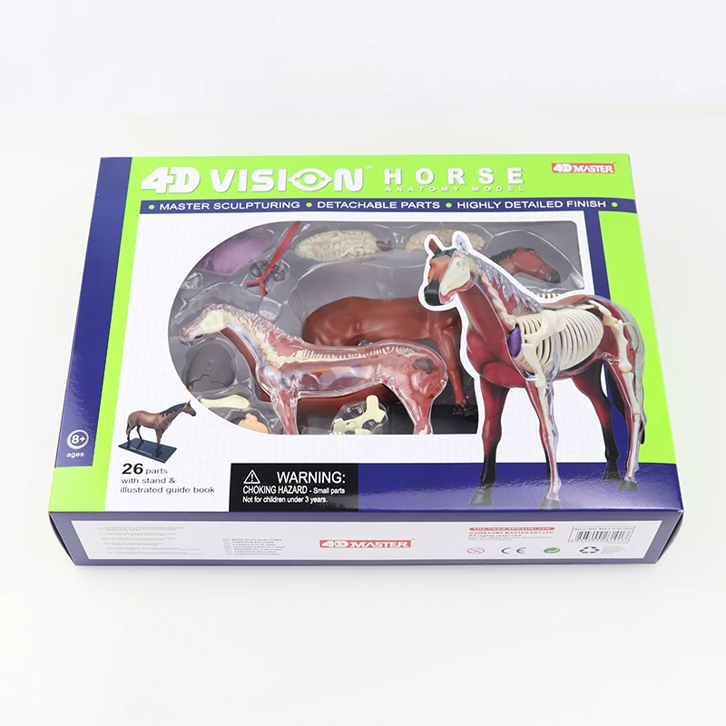 Лошади Учебная модель 4D мастер головоломка Ассамблеи Игрушка симулятор