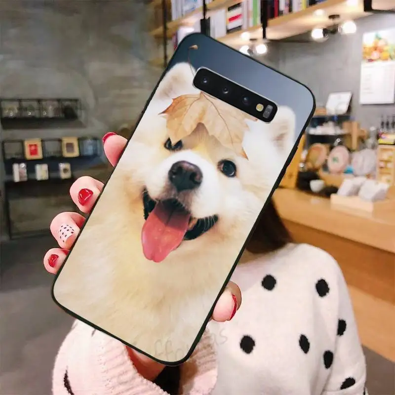 

Samoyed cute dog animal Phone Case For Samsung A50 A51 A71 A20E A20S S10 S20 S21 S30 Plus ultra 5G M11 funda shell