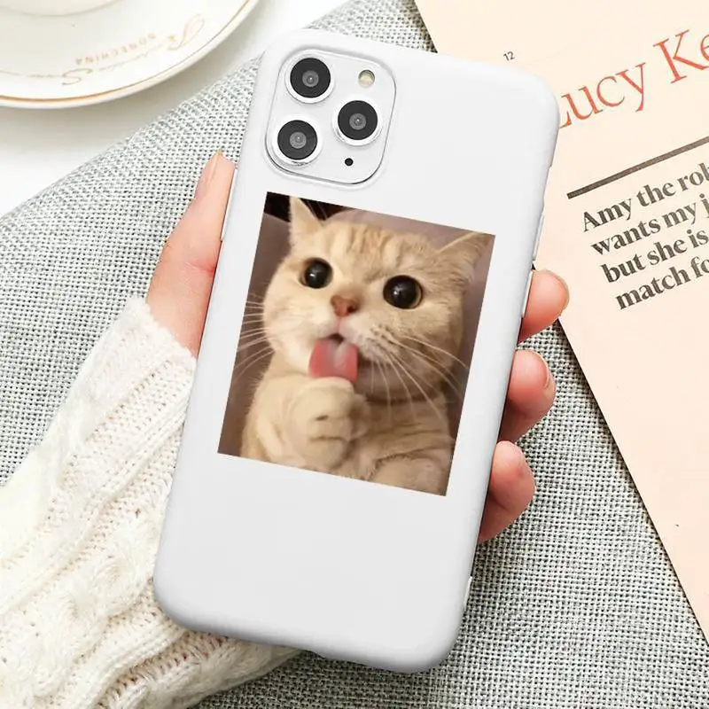 

Cute Cat Phone Case Candy Color for iPhone 6 6S 7 8 11 12 XS X SE 2020 XR mini pro Plus MAX funda