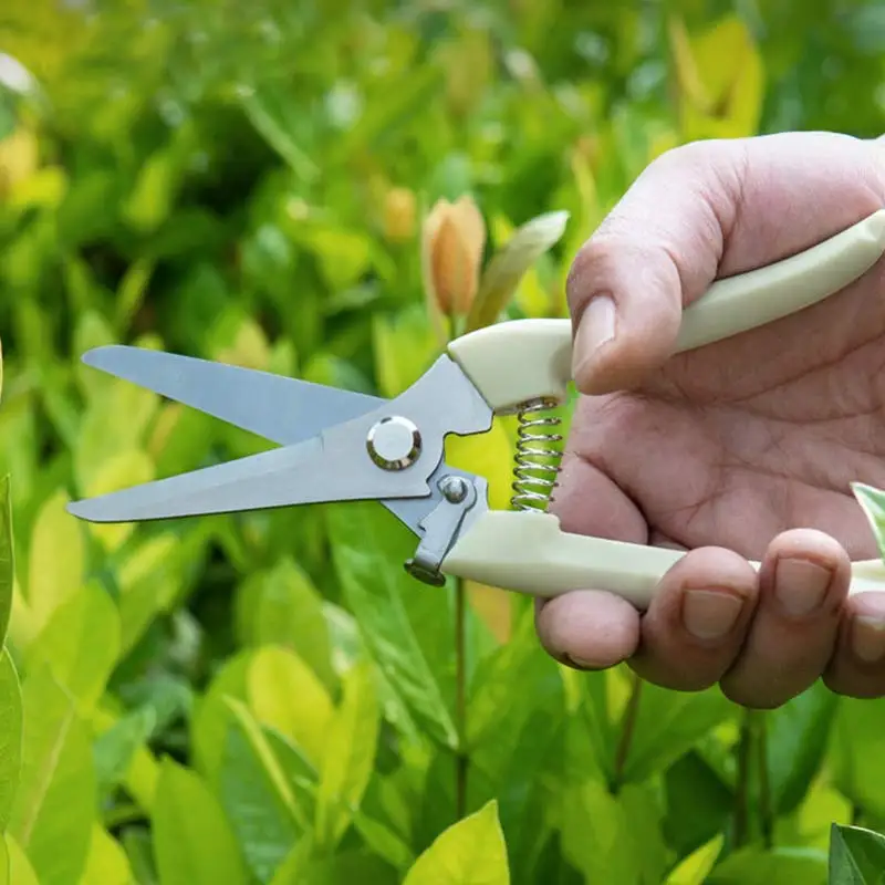 

Садовые ножницы для фруктовых деревьев, ножницы для обрезки цветов, резак для фруктов, секатор для ветвей, ножницы для выращивания и прививк...