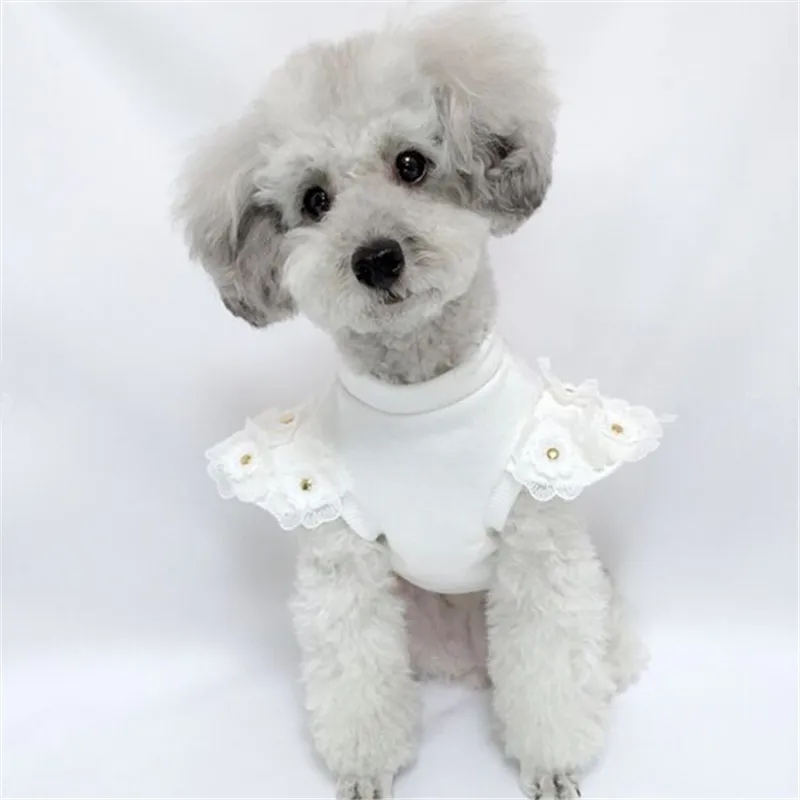 

Winter Dog Shirt Small Dog Hoodie Cat Yorkshire Pomeranian Poodle Bichon Schnauzer Costume Pet Dog Clothes Puppy Clothing Coat
