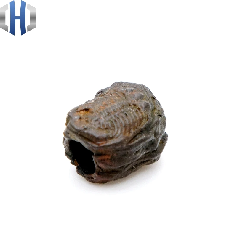 Оригинальный подвесной нож Trilobite Fossil индивидуальные бусы на веревочке в стиле