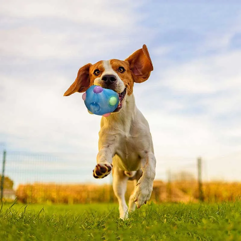 2021 мигасветодиодный Светодиодные шарики для собак светодиодная подсветка