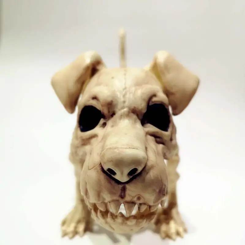 

Halloween Themed Party Ornaments Scary Standing Skeleton Dog Horrific Scene Prop 23GD
