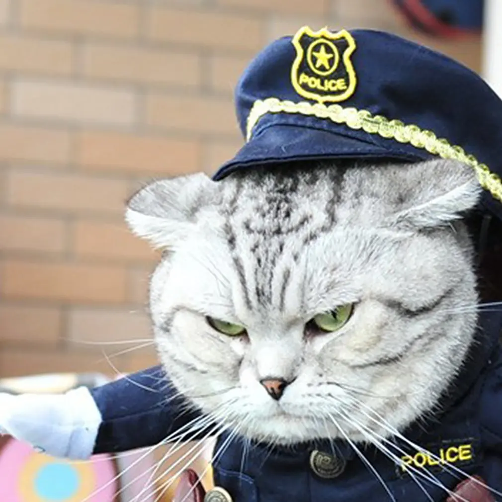 Мягкий и дышащий прекрасный дизайн большое использование Косплей