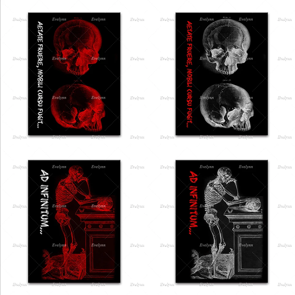 

Skeleton Antique Poster, Medical , Anatomy Chart,Home Decor Canvas Wall Art Prints Living Room Decoration Unique Gift