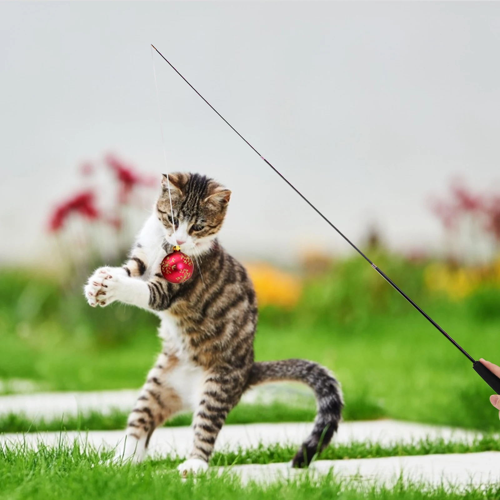 

Cat Teaser Wands Three-section Telescopic Fishing Pole Wand Kitten Funny Catcher Teaser Stick Rod Interactive Stick Teaser Toys