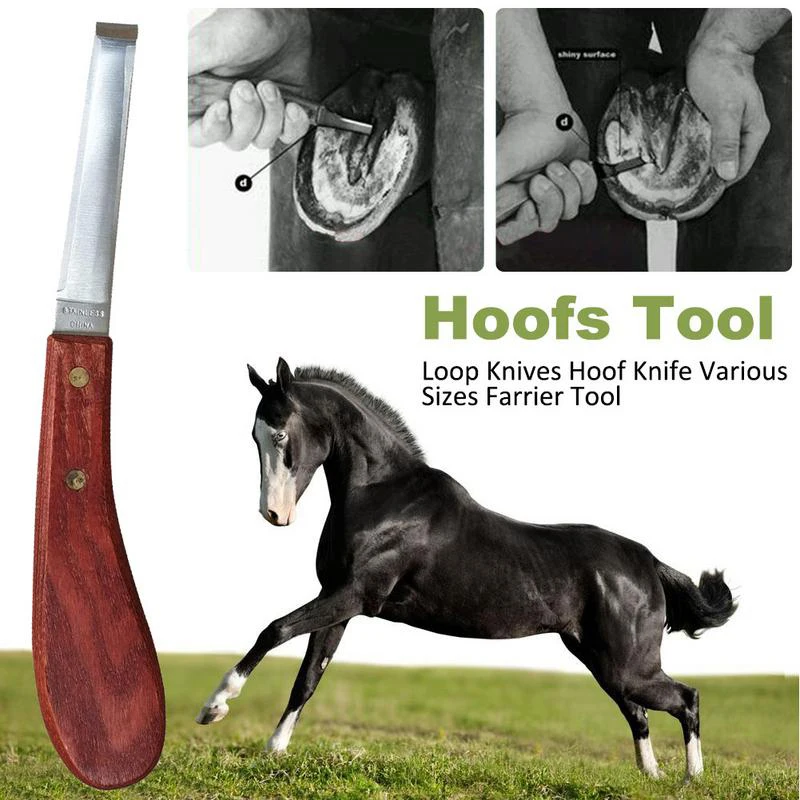 

Hoof Loop Knives Harness Equestrian Articles for Cattle Hoof and Donkey Hoof