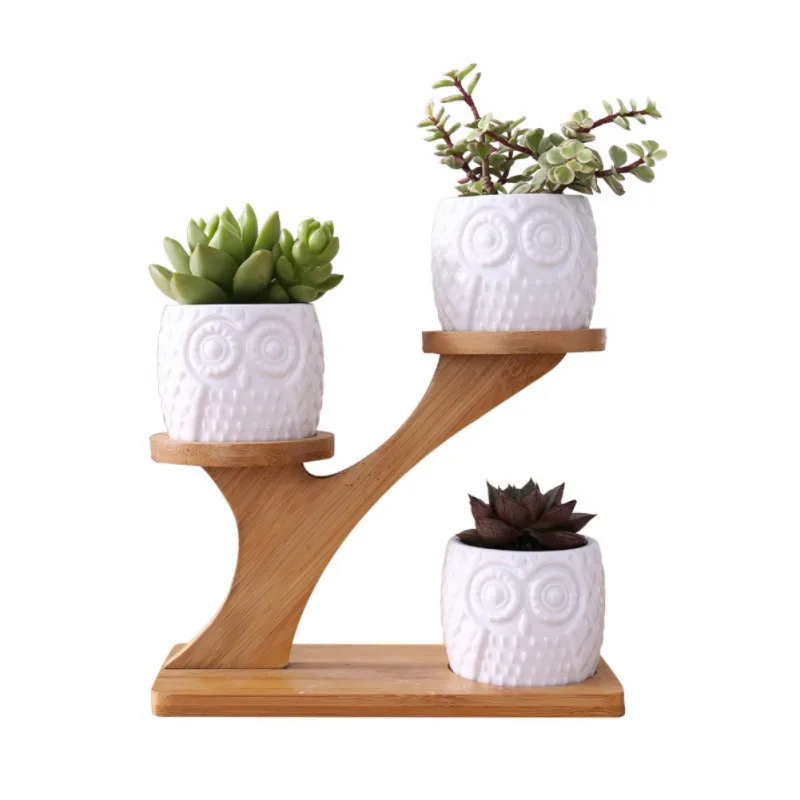 

3pcs Owl Succulent Pots Ceramic with Bamboo Saucers Stand Holder Home Office Desk Garden Mini Cactus Pot Indoor Decoration