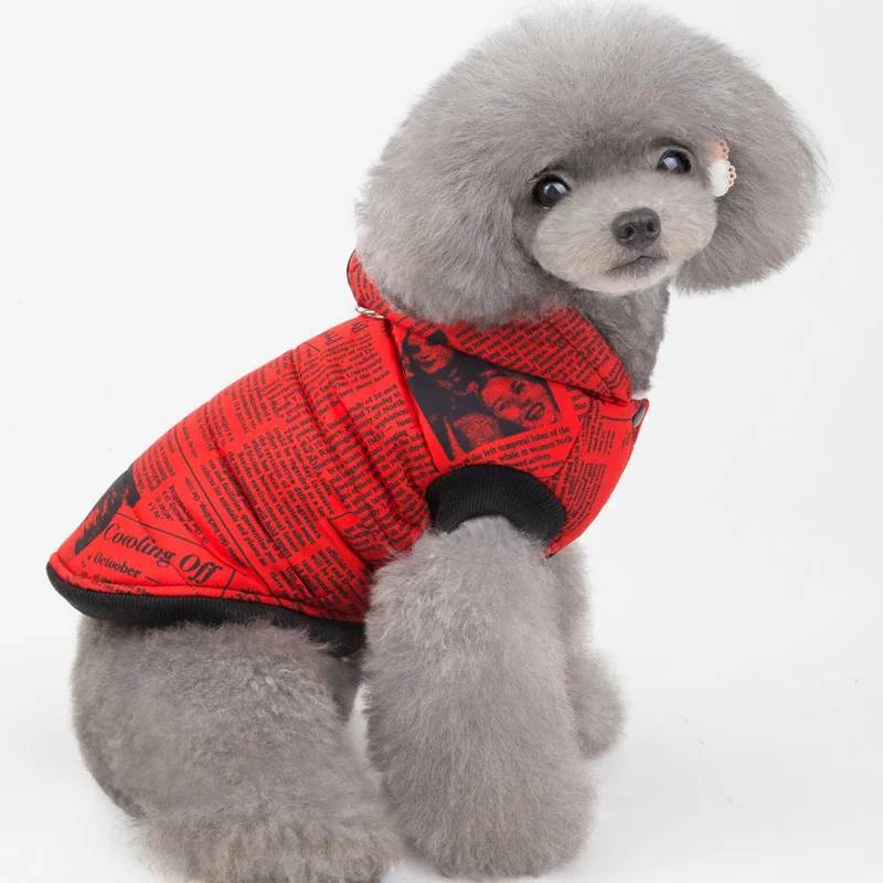 Шикарное зимнее пальто для собак куртка газета Одежда кошек мягкая теплая одежда