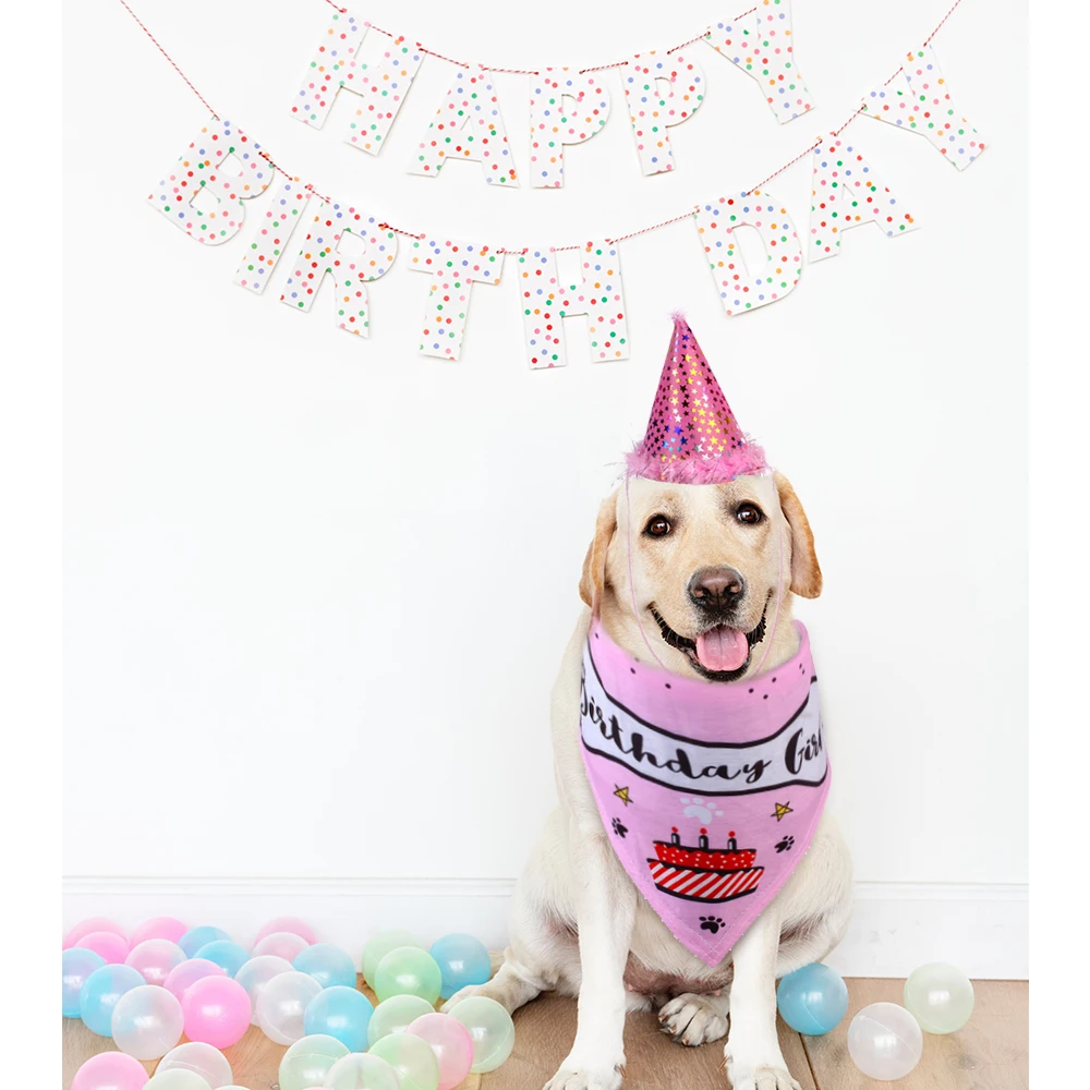 2 шт./компл. домашних животных на день рождения шляпа Корона со слюнявчиком кошек