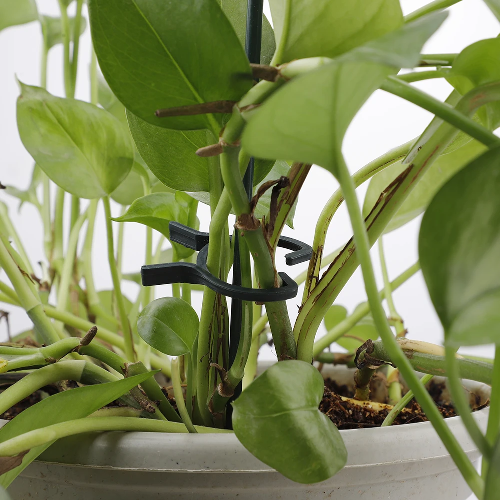 100 шт. садовое растение зажимы в виде вьющегося стебля с цветами растительного